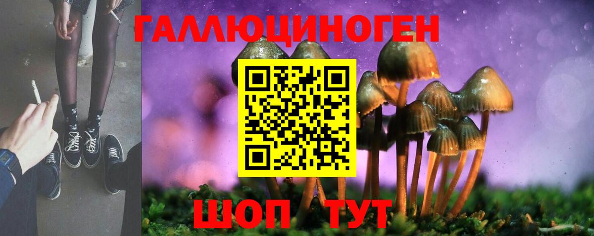 Псилоцибиновые грибы мицелий Владимир