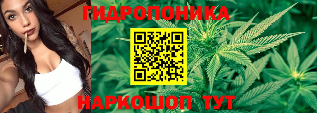 Бошки Шишки Bruce Banner Владимир