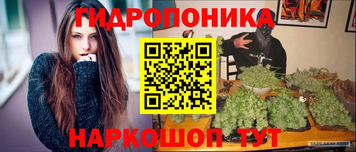 Бошки марихуана семена  Конопля SATIVA & INDICA  Вход с VPN  Владимир  Каннабис ГИДРОПОН 